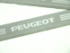 962369 Peugeot 206 instaplijsten in geborsteld RVS
