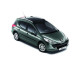 peugeot-207-sW-roof-rails-without-panorama-roof-9616V9