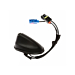 Ford Halter - Radio-Antenne