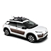 Thule roof rails ski carrier