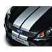 Ford Focus (01/2008 - 12/2010) GT Stripe set for front and rear bumper, silver-colored