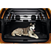 Dacia Duster 2018 - .. separation grill