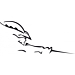 Musketier Peugeot 407 decor sticker