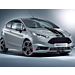 Ford FIESTA HERPA PRINT* RACING STRIPES GLOSS BLACK