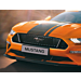 Ford Mustang (03/2015 - 02/2018) black pony grille