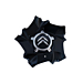 Citroën Cairns hub cap Noir Onyx