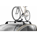 Peugeot bike carrier
