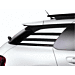 Citroën C4 Cactus sticker set 'Stripe'