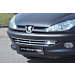 Musketier Peugeot 206 stainless steel grill, chromed with small original grill