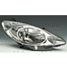 Peugeot 1007 head lights chrome