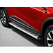 Renault Captur (2019 - ..) styling bars