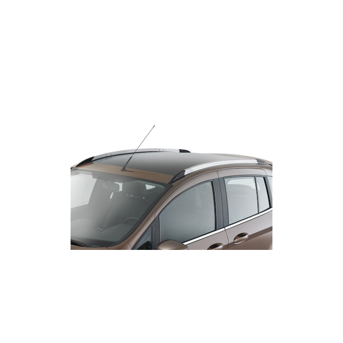 Ford B-MAX (2012 - 2018) roof rails silver/black