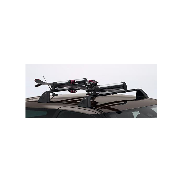 Citroen Set Skidragers