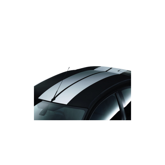 Ford Focus (01/2008 - 12/2010) hatchback GT roof stripe kit zilverkleurig