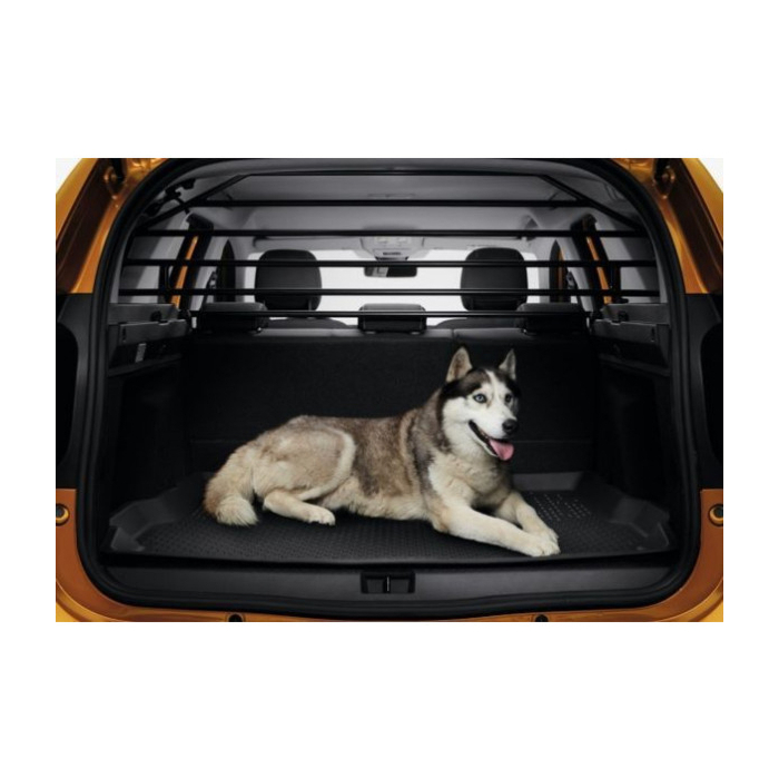 Dacia Duster 2018 - .. separation grill