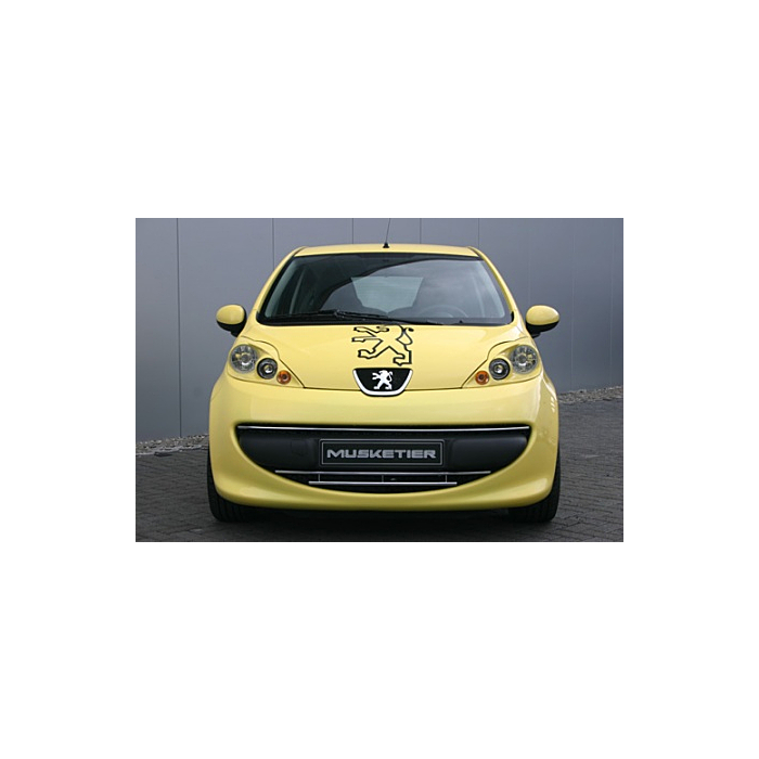 Musketier Peugeot 107 moldings grille chrome