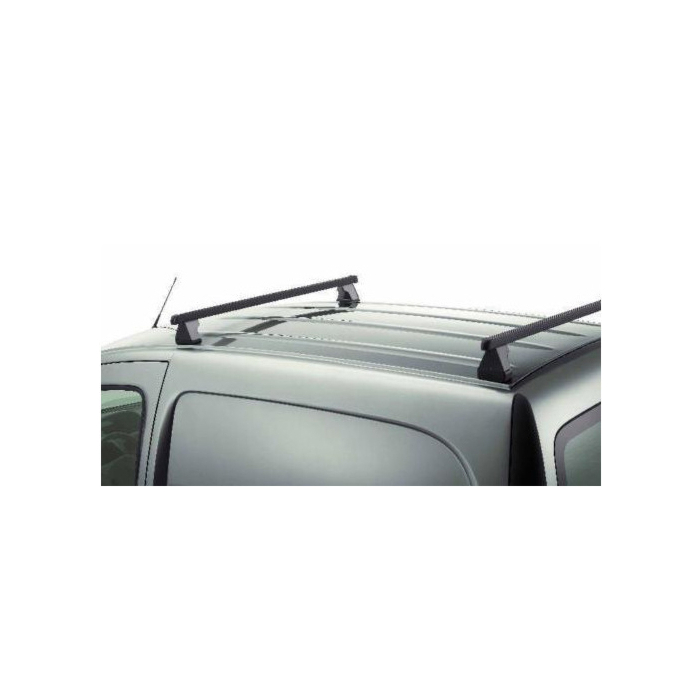 Renault Kangoo 2008 - .. dakdragers staal tot 95kg