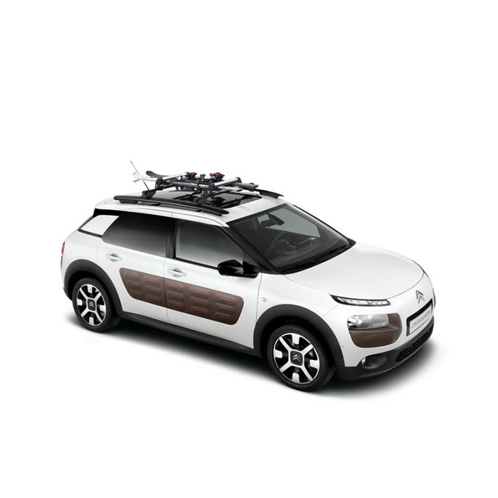 Thule roof rails ski carrier
