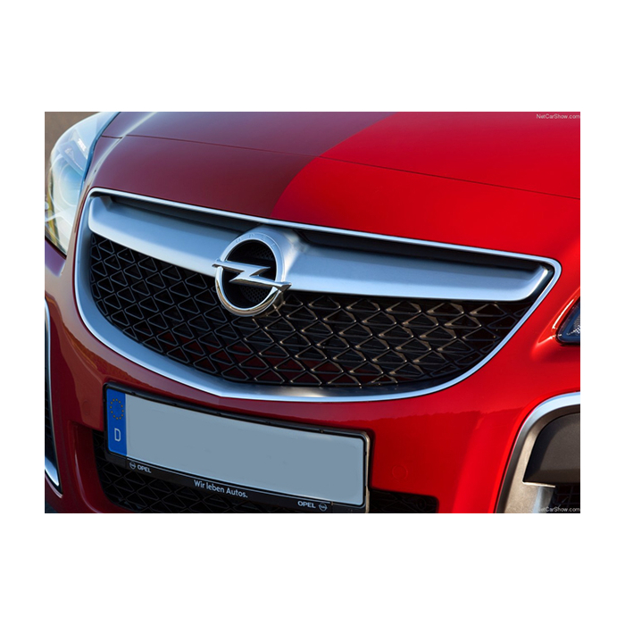 Opel Insignia A OPC grill (2013 - 2017) (without adaptive cruise control)
