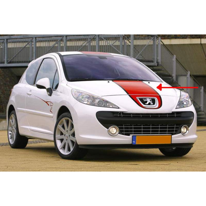 Peugeot 207 Le Mans striping motor hood