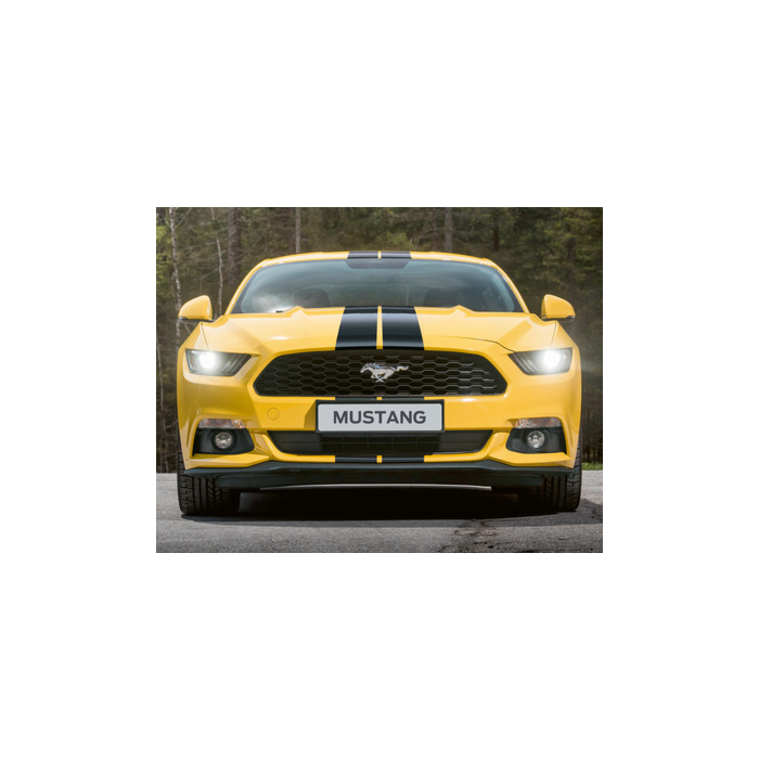 Ford Mustang (06/2016 - 10/2017) racing stripes Over-the-top, glossy black