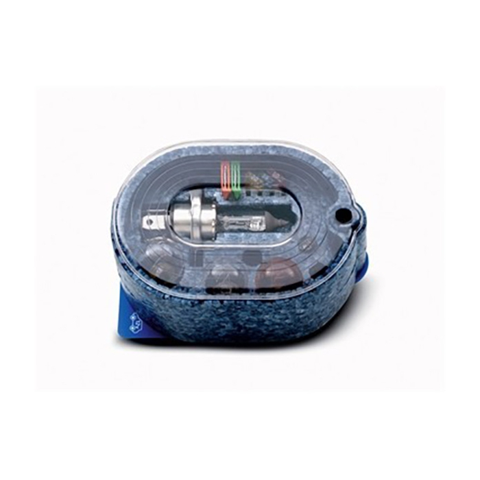 Citroën spare bulb kit