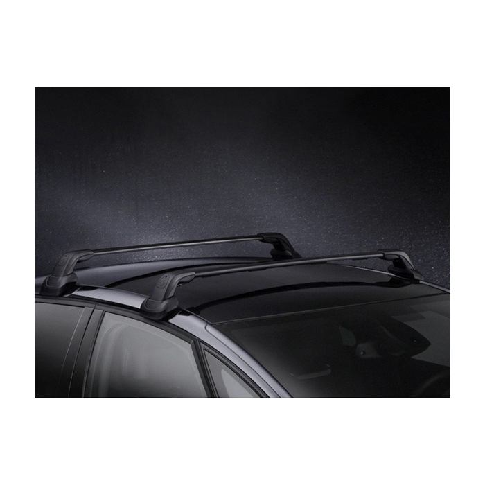 Citroën DS4 (2011 - 2018) roof base carrier steel