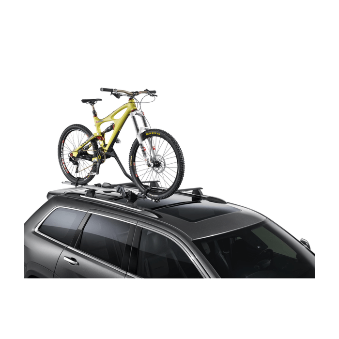 Lancia Thema upright bike carrier
