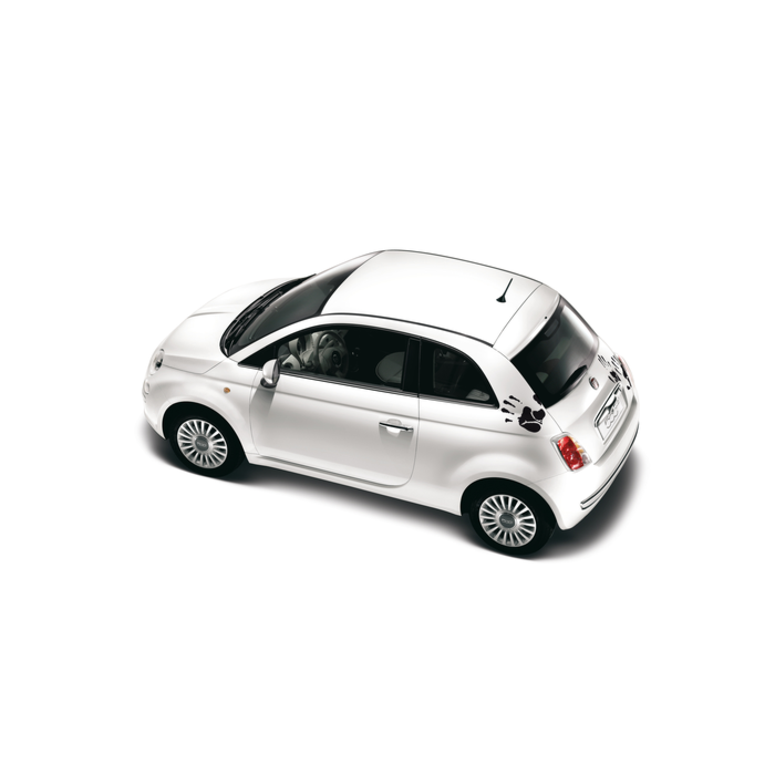 Fiat 500/500c hand sticker