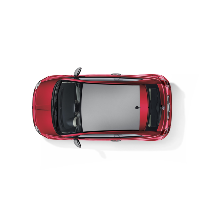 Fiat 500 wrapped roof matt silver