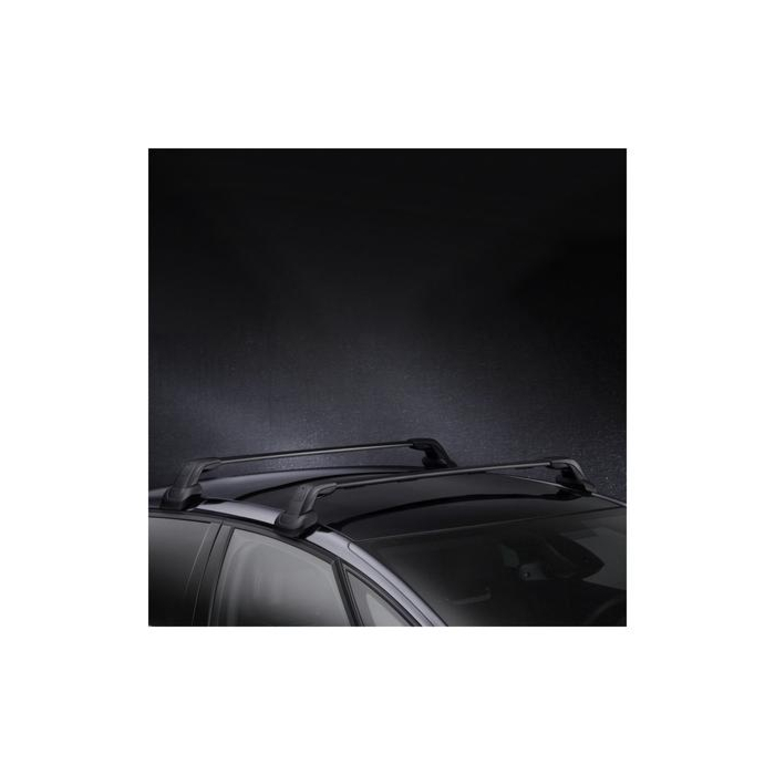 Citroen DS5 (2011 - 2018) roof base carriers