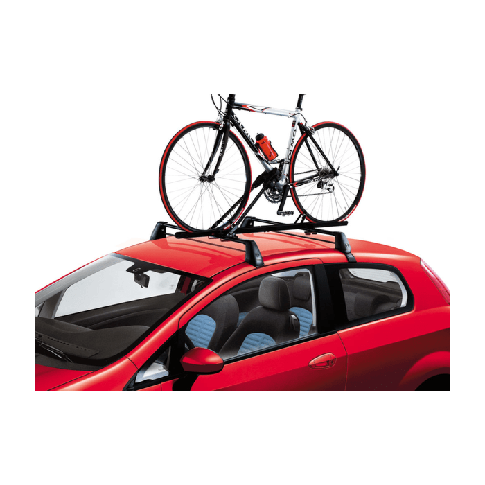 Lancia Flavia bike carrier standard steel