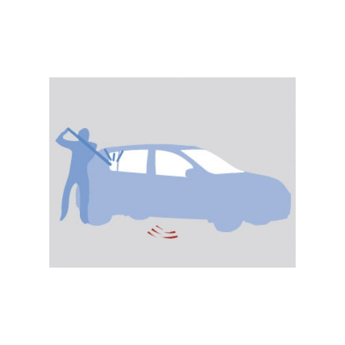 Dacia Sandero 2008 - 2012 alarm with remote control