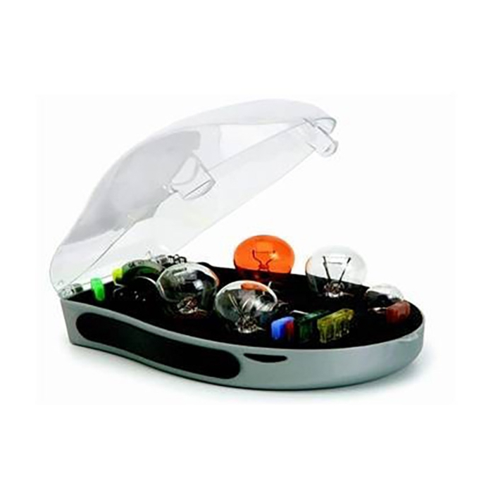 Citroën reserve lampen set