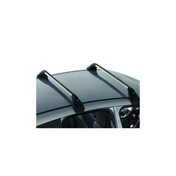 Ford C-MAX 11/2010 - .. roof base carrier
