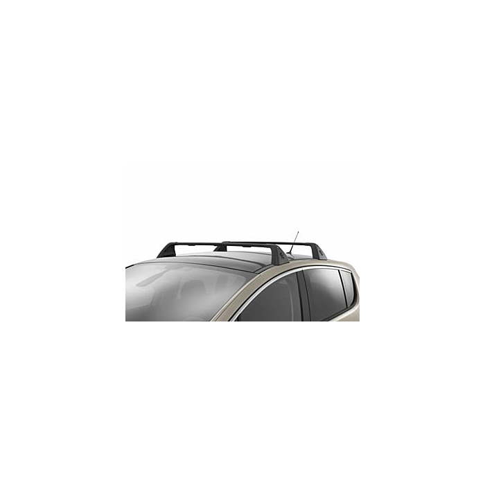 Peugeot 3008 (2009 - 2016) roof base carrier
