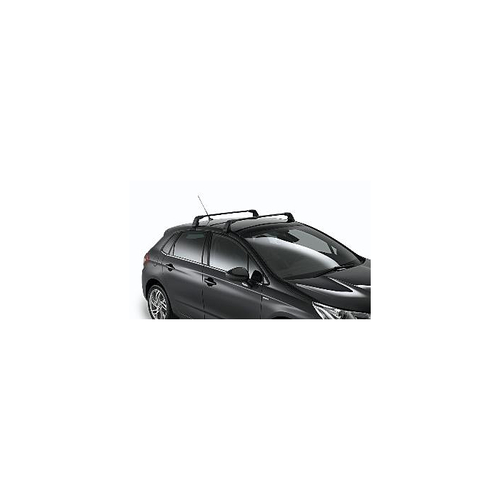 Citroën C4 2010 - .. dakdragers staal
