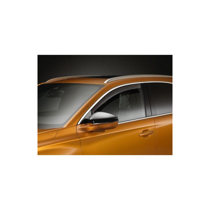 DS7 Crossback windgeleiders