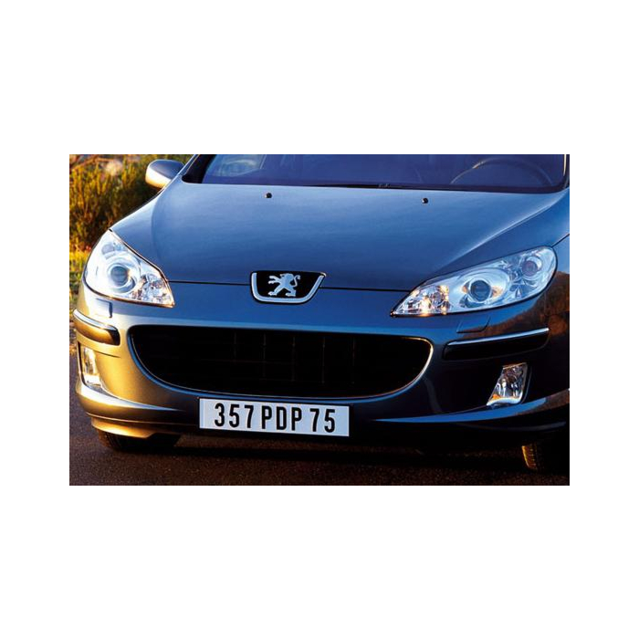 Peugeot 407 head lights
