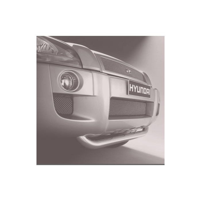 Hyundai Tucson (2004 - 2010) grill in front bumper