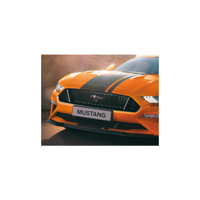 Ford Mustang (03/2015 - 02/2018) black pony grille