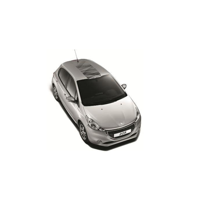 Peugeot 208 (2012 - 2019) sticker for on the roof LIGNE GRAFFIC