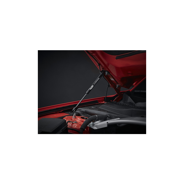 Ford Mustang (03/2015 - 03/2023) hood gas struts with laser-engraved Ford Performance logo