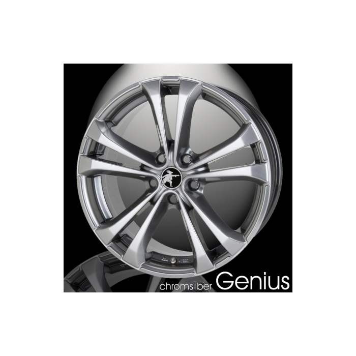 Musketier Citroën DS4 / DS5 alloy wheel Genius 8Jx19 chrome/silver