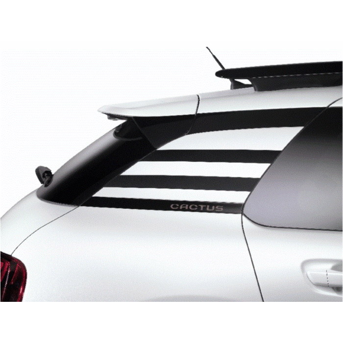 Citroën C4 Cactus sticker set 'Stripe'