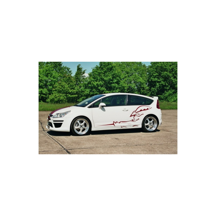 Musketier Citroën C3 2010 - ... decor sticker
