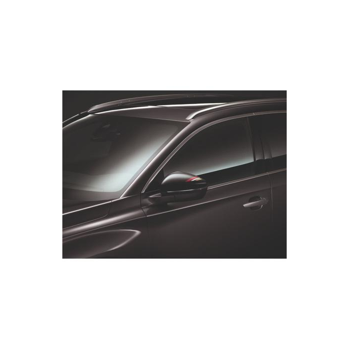 DS3 Crossback / DS7 Crossback DS PERFORMANCE sticker for right-hand external rear-view mirror shell