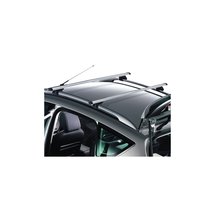 Ford Satz Gepaeckbuegel (Abschliessbar)