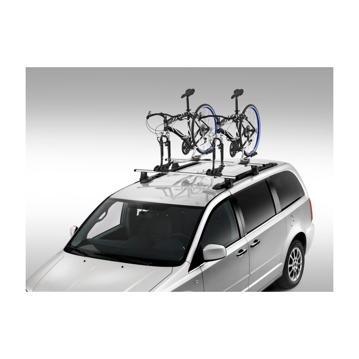 Lancia Voyager upright bike carrier