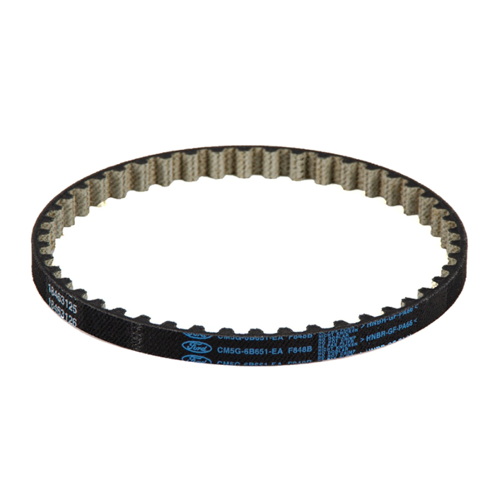 Ford Antriebsriemen - Oelpumpe